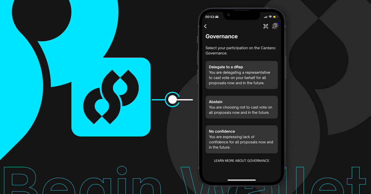 governance-vote-delegation