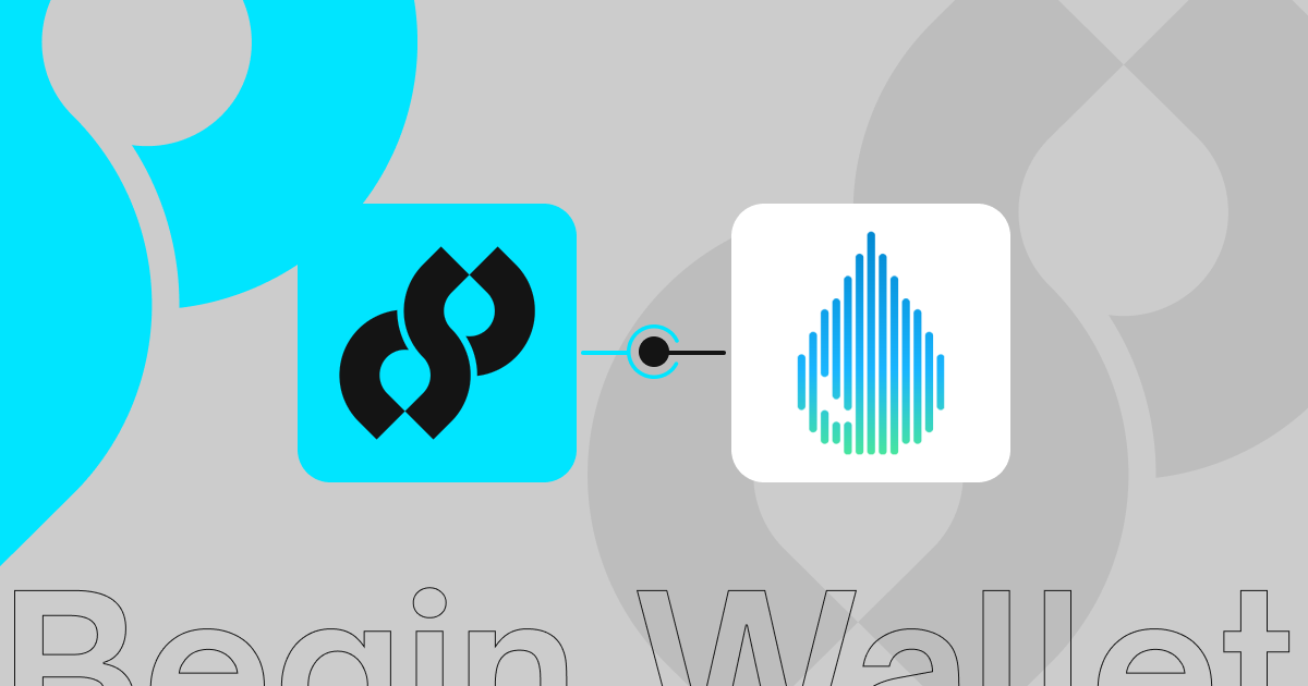 Cover Image for Why Crypto Wallets Are the New Web Browsers